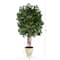 5.5ft. Super Deluxe Ficus Tree in Decorative Urn